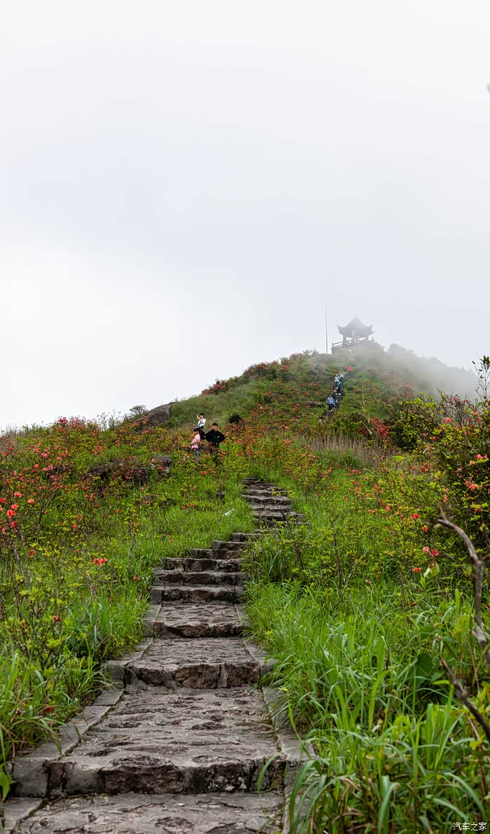 【湘桂交界处的天然氧吧,瀑布森林公园——姑婆山】