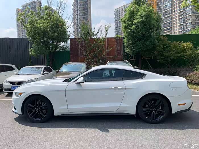 安徽合肥出中规白色野马已售