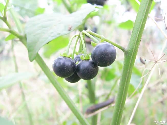 分享我的家乡～夏季,,,冬季,,多图误进