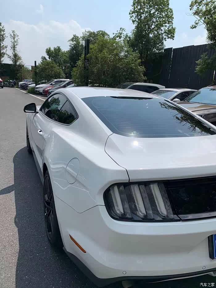 安徽合肥出中规白色野马已售