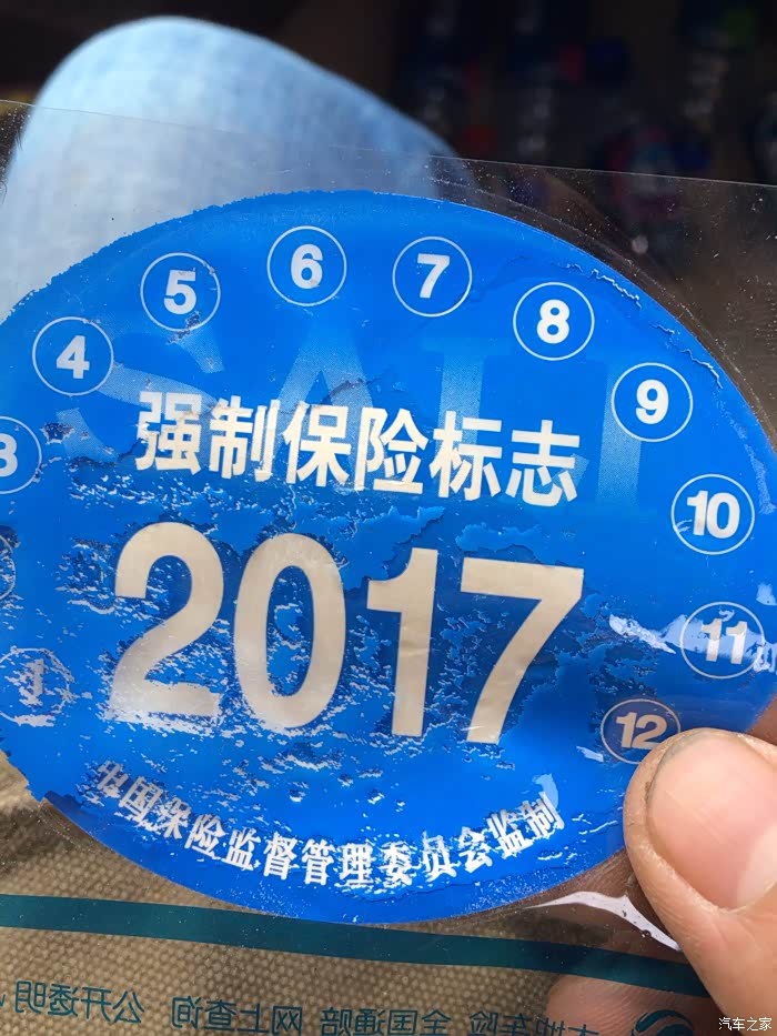 交强险贴纸的颜色