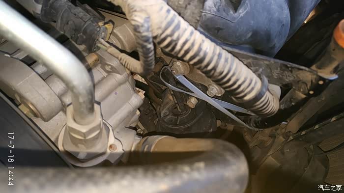 勒死狗的切身感受附图片