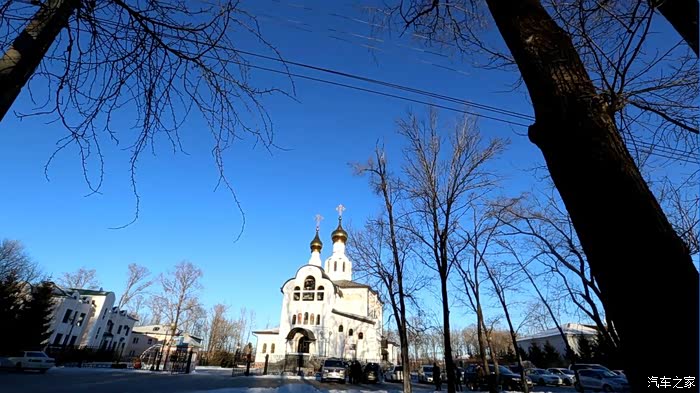 俄罗斯比罗比詹林区行