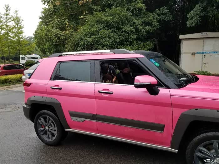 铁汉也柔情粉色bj20