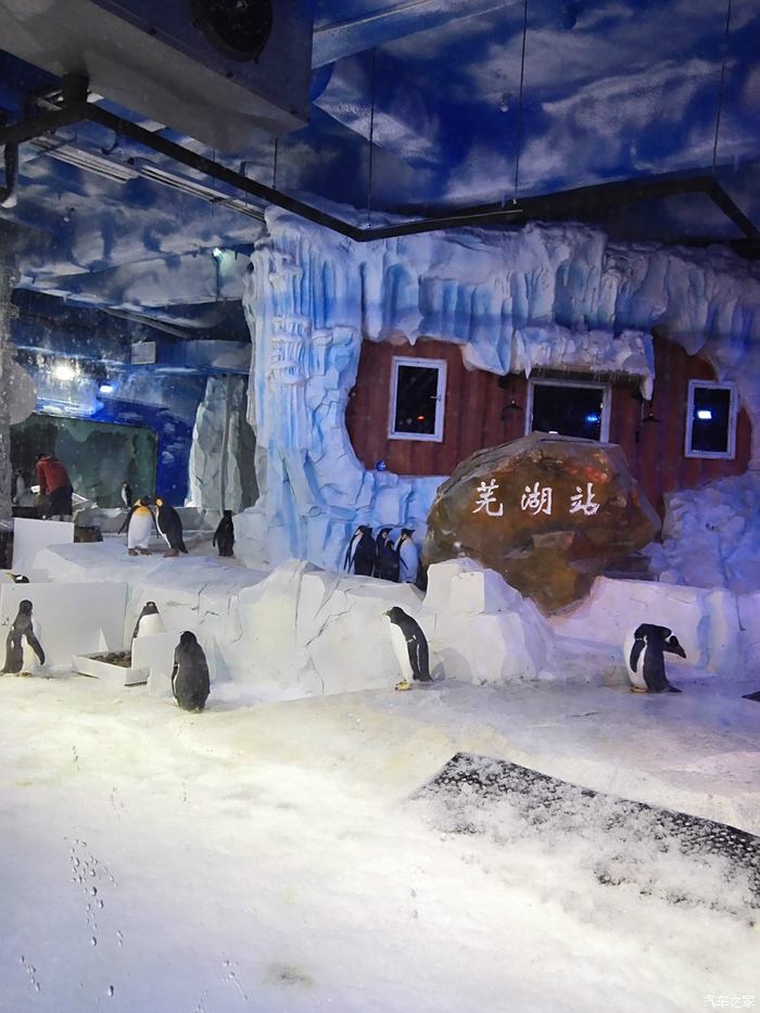 蕪湖大白鯨海洋公園首觀2水母極地館