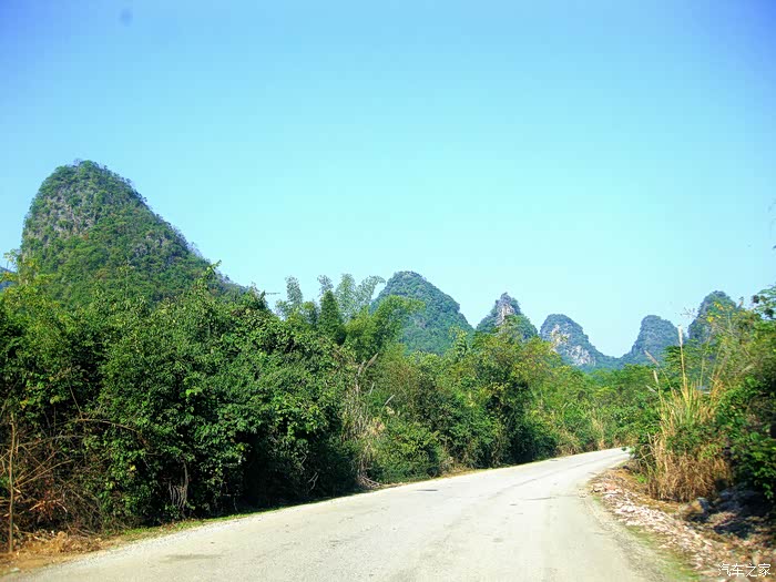 广西九万大山自然保护区的漫游