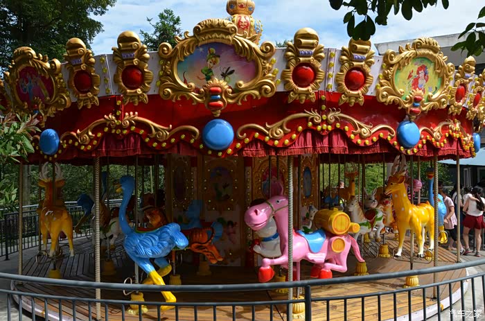 【四川雅安碧峰峡野生动物乐园----孩子的首次出行】