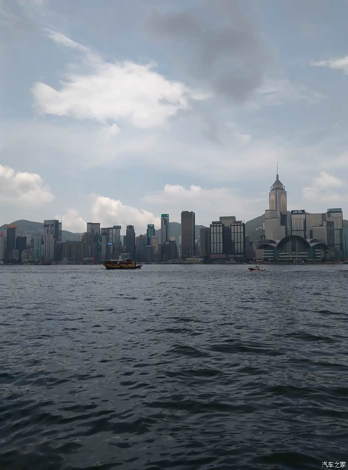 这些树古怪我第次看到叫榕树在广东香港区带都有