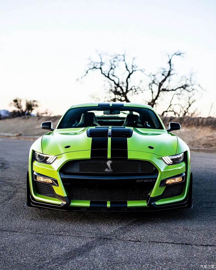 福特mustanggt500
