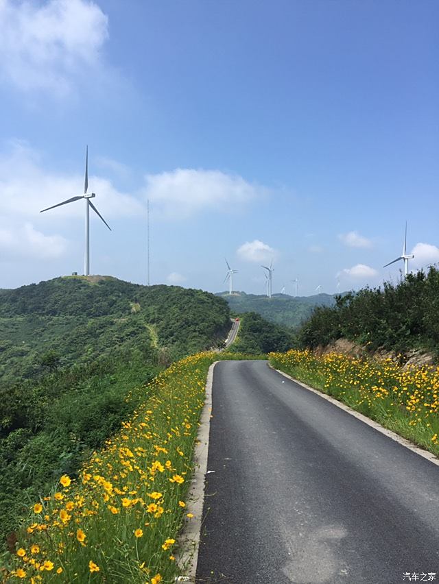 【图】阿拉宁波最美的风车公路