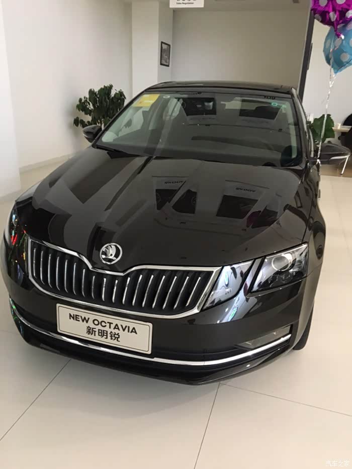 谁有新款明锐琥珀棕图片发来看看