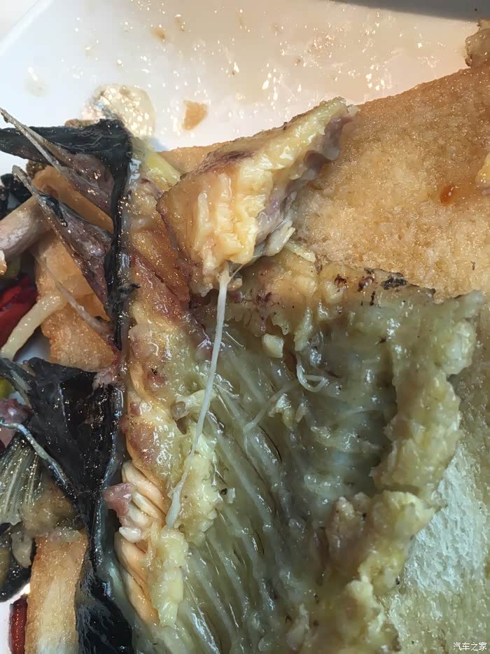 这个是传说中的鲶鱼的寄生虫么