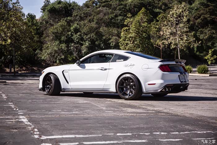 加州野马眼镜蛇shelby gt350特写