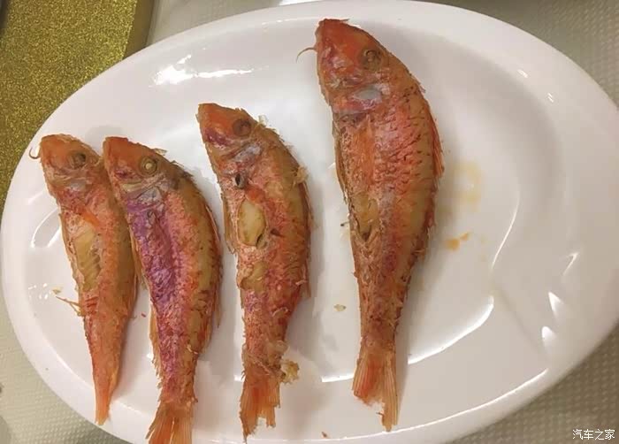 香煎红鱼.这是海鱼,咸的,可以就白粥吃.