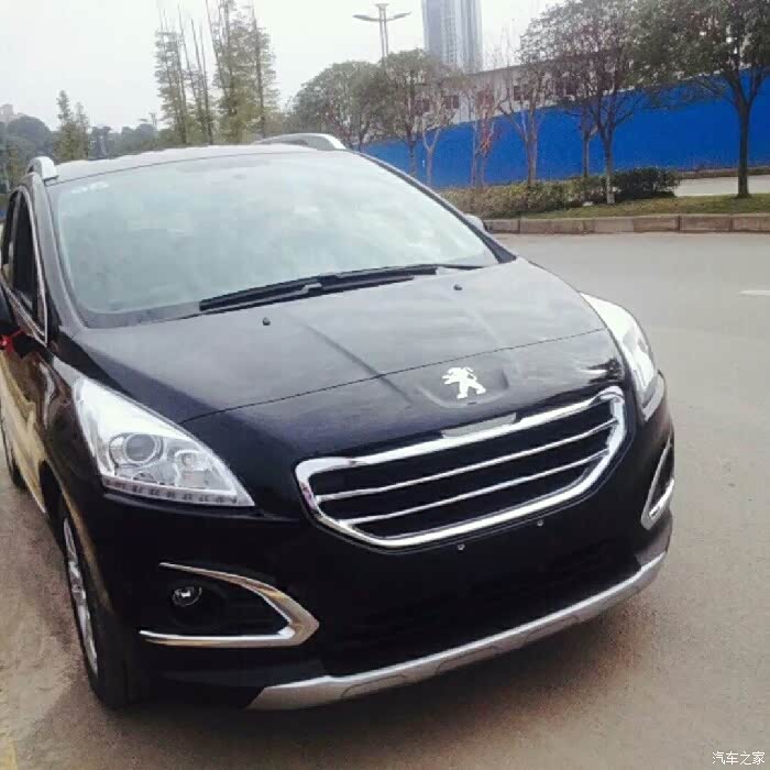 【图】大家来看看,这样改装中网好看不?_标致3008论坛_汽车之家论坛