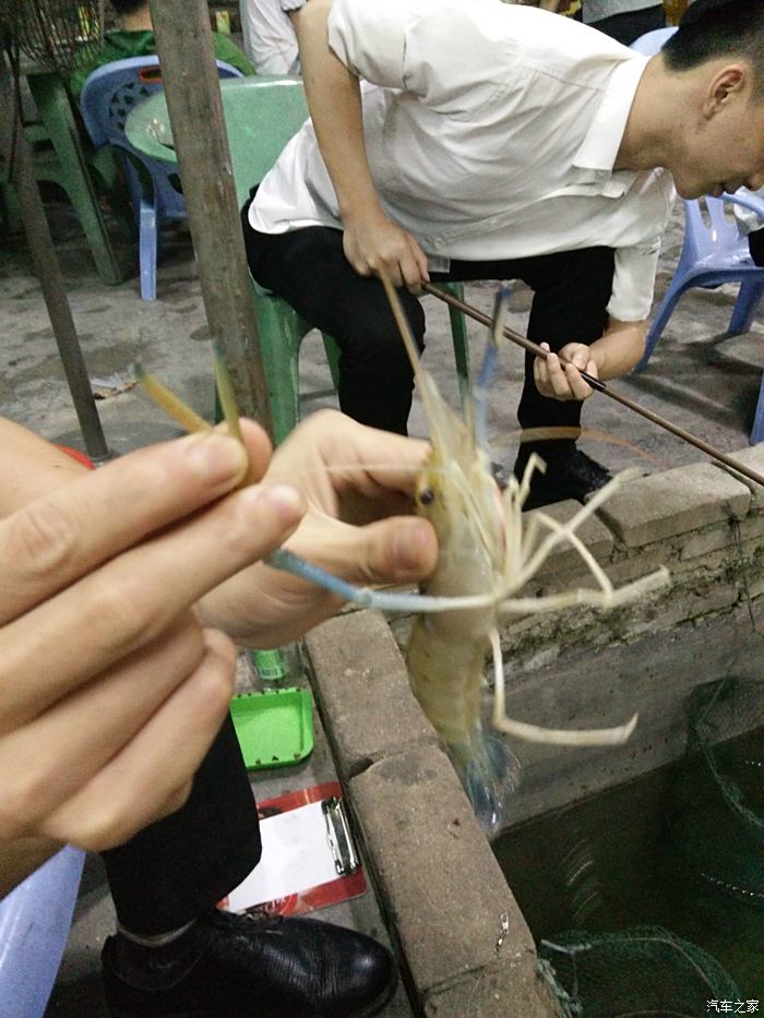 佛山釣蝦館你體驗過沒?