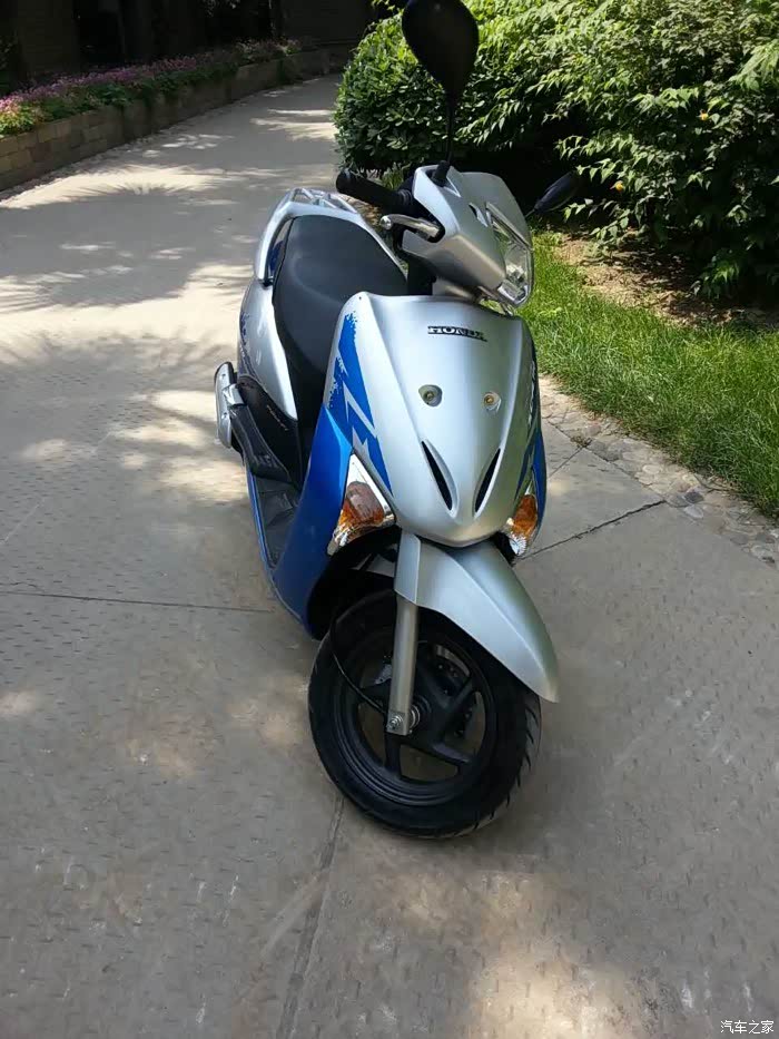 我的五羊本田小甲鱼踏板