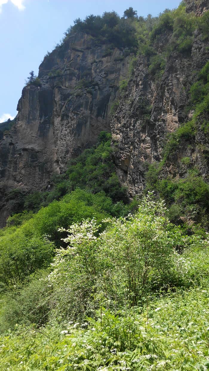 随心所欲90后自驾甘肃陇西漳县贵清山遮阳山
