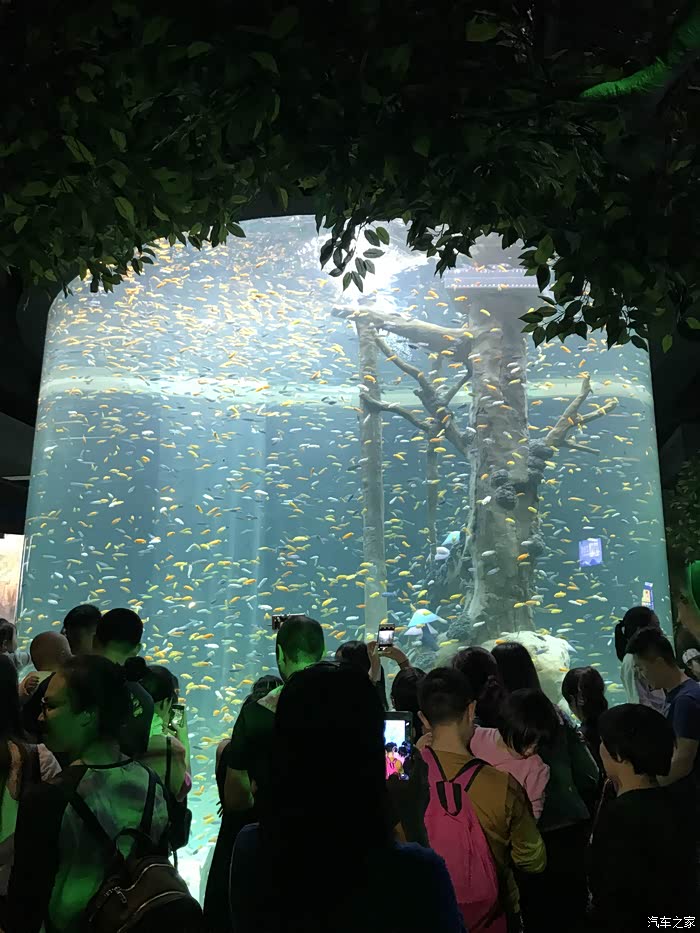 重庆长安巴南区汉海极地海洋公园一日游