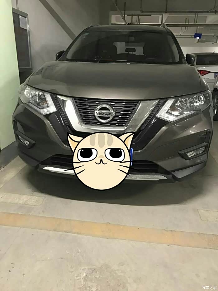 让大家看看奇骏的别的颜色琥珀金