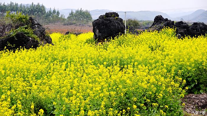 黄竹村图片