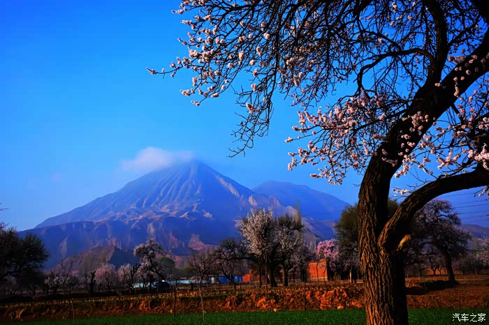 东乡族县唐汪镇的醉美杏花和丹霞奇观