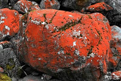 【万物复苏送福利】红河谷风光