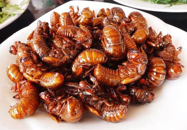 【图】采菊东篱下,悠然见南山_威驰论坛_汽车之家论坛