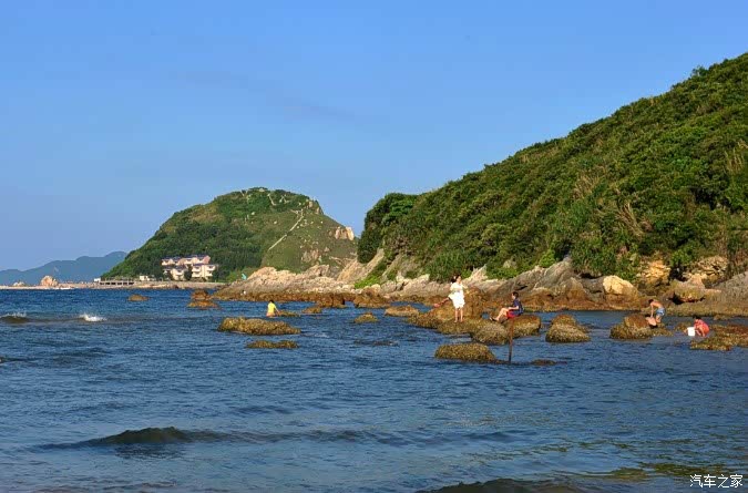 我和x的红树林西涌杨梅坑