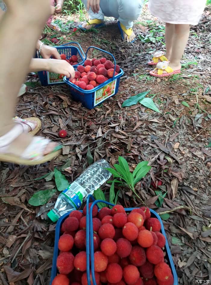 年中三人行大相聚,赣南乡村特色自驾游!