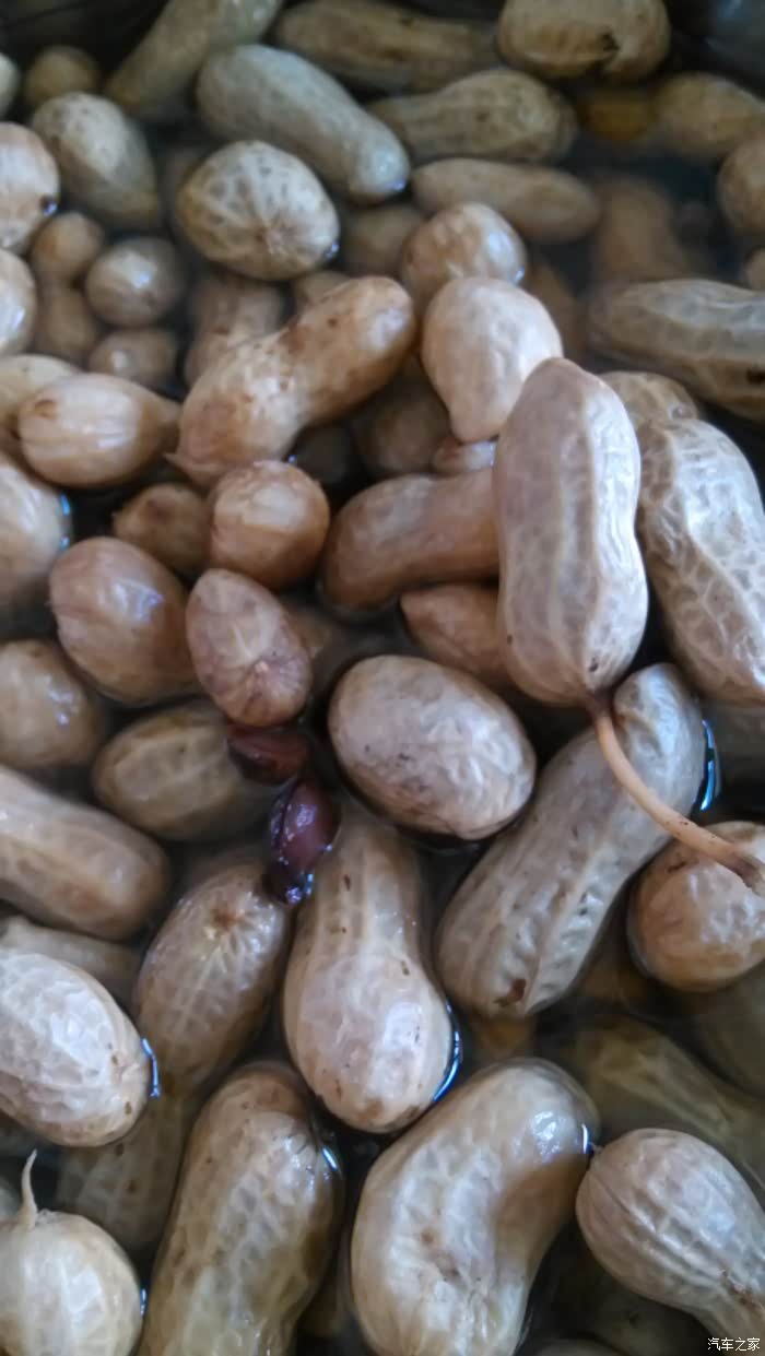 哥哥们,刚煮好的花生,还烫呢.