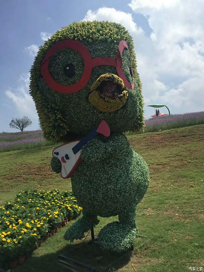 万安花花世界景区介绍图片