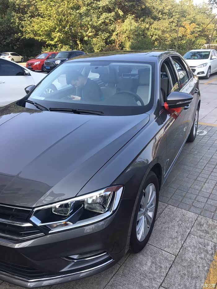 不后悔的选择喜提柏林灰