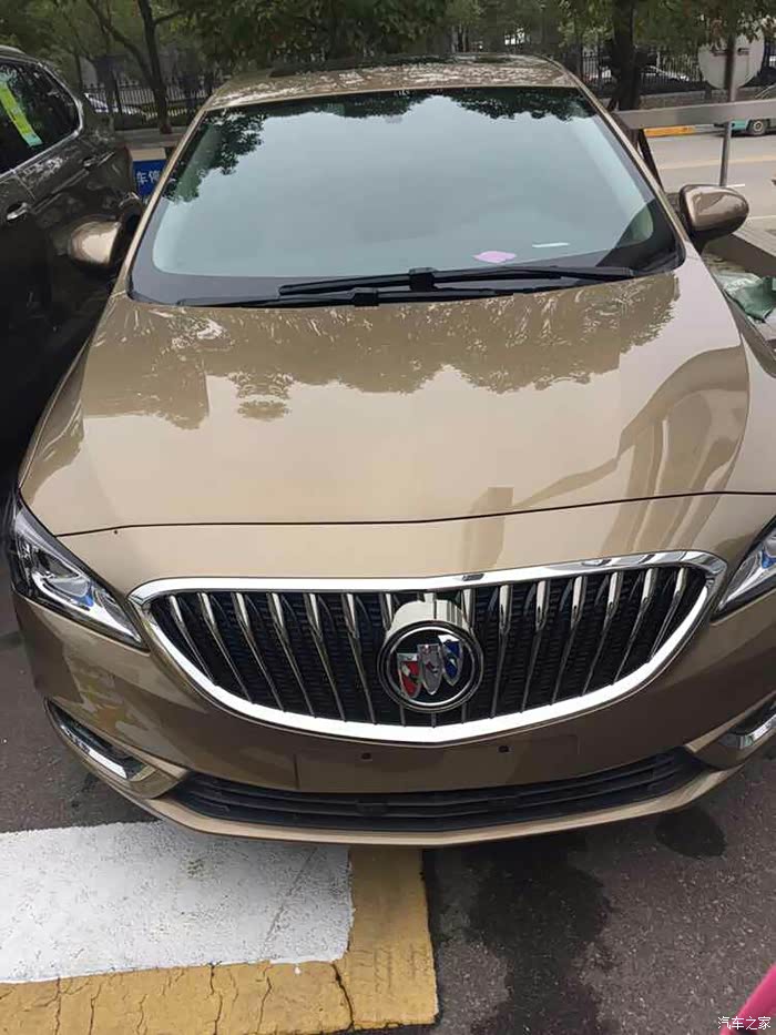 请问下琥珀棕好看吗?