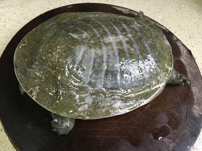 小老头公婆厨艺18蒸豌豆楂红烧团鱼