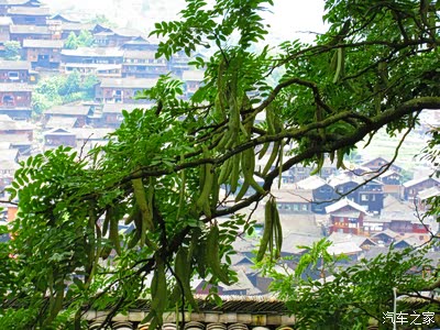 路遇饭店放在外面田螺个个