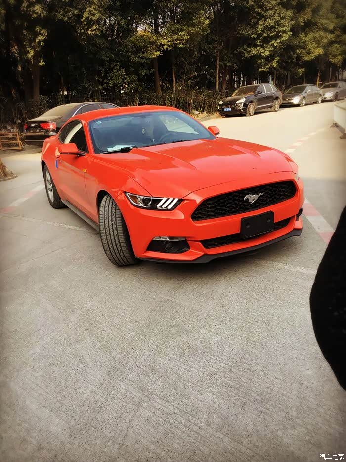 野马跃动橙提车秒换borlaatak