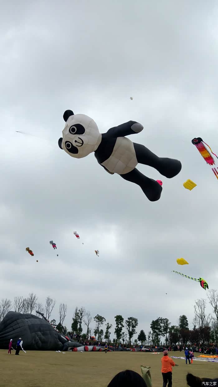 全成都向上看记2017第七届保利国际风筝节