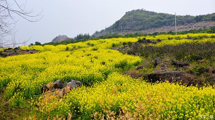 黄竹村图片