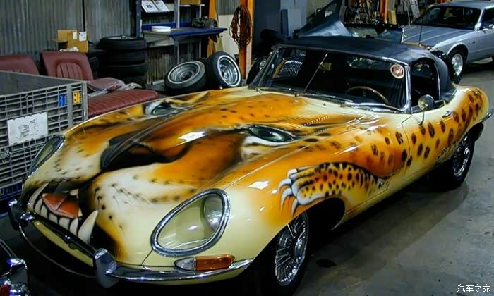 【图】穿上豹纹_四川论坛_汽车之家论坛