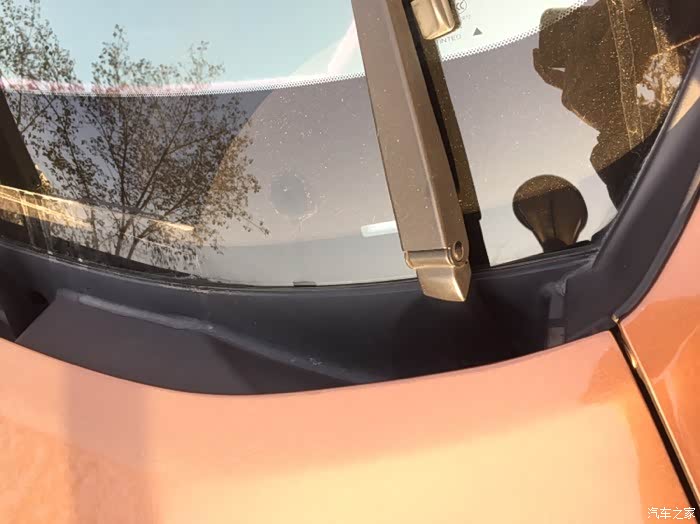 【图】雨刷摆臂底端两个洞里的树叶