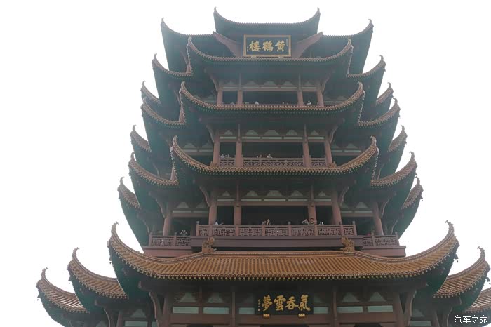 表扬我的大红虎子