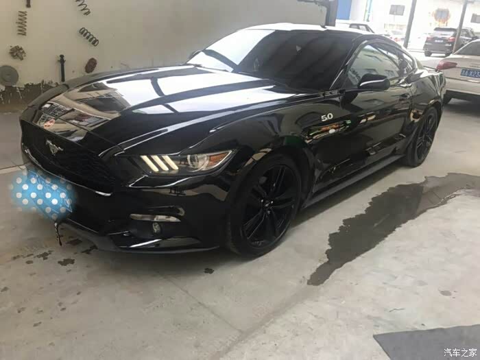 3黑色野马_mustang论坛_汽车之家论坛