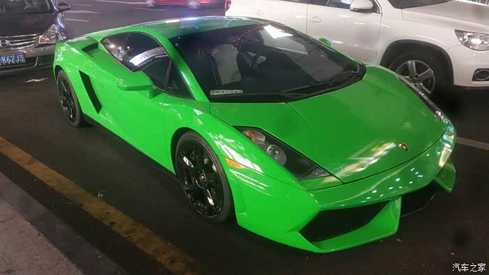 绿色第一代盖拉多