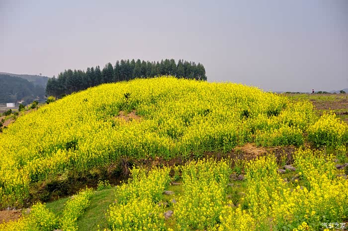 最美乡村之黄竹村