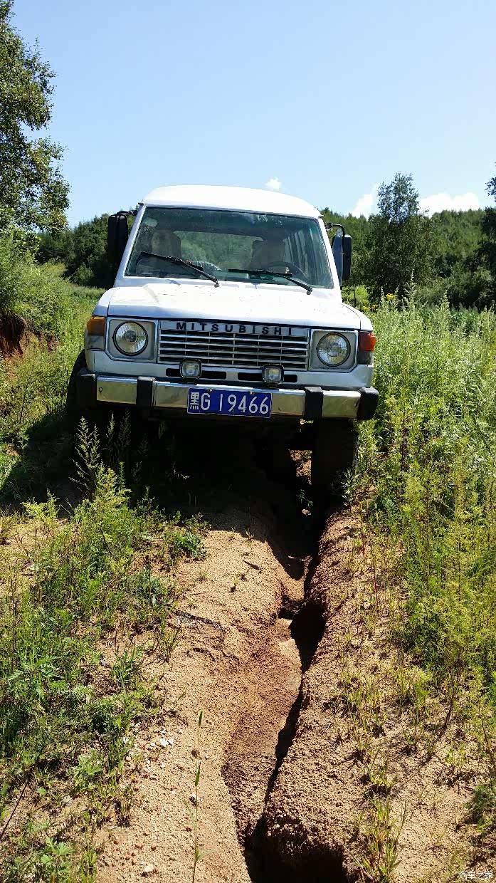 勇敢的老山猫不负所望