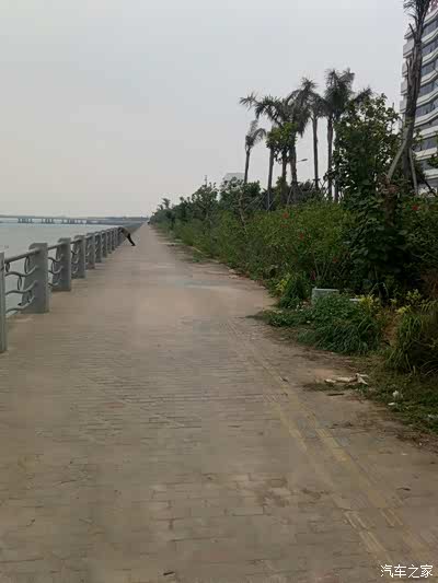 【厦门博越车友汇】忙里偷闲 陪太子爷御驾亲