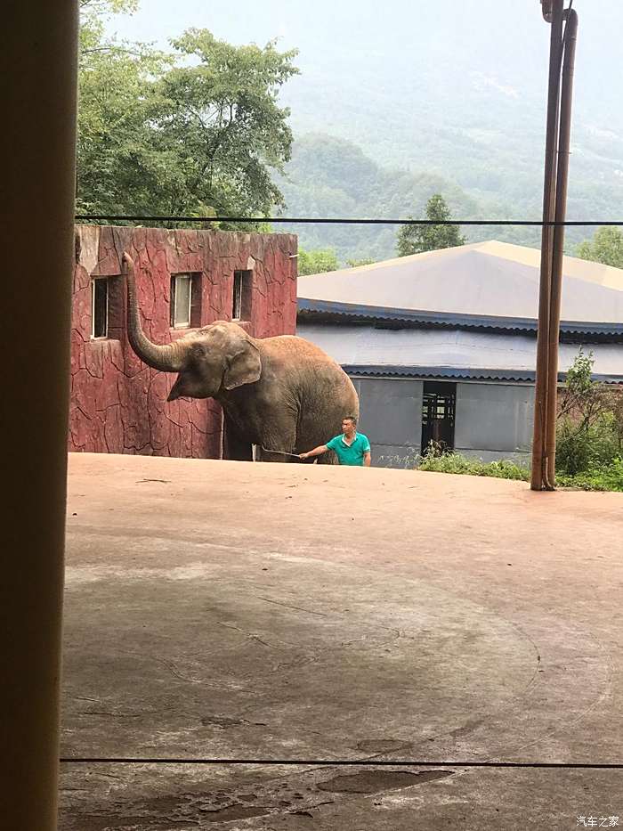 【****川軍團200號****】雅安-碧峰峽野生動物園