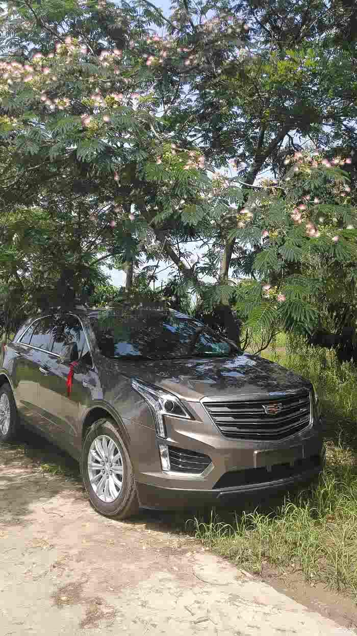 25技术摩卡色提车500公里浅谈用车感受求射精4s送车模