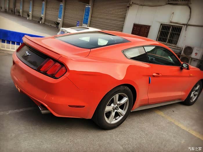 野马跃动橙提车秒换borlaatak